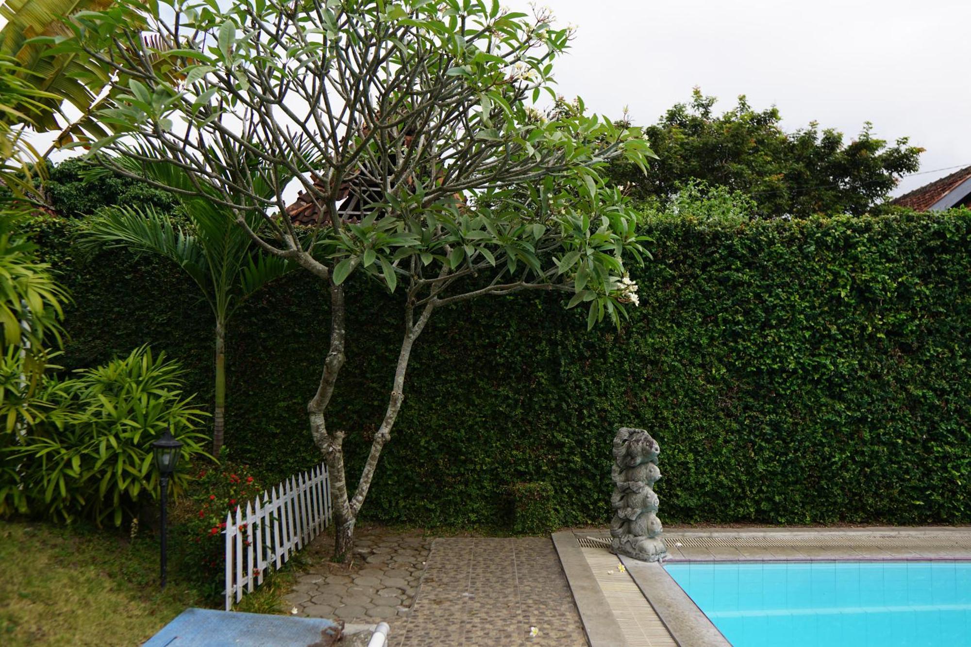 Hotel Tulips Yogyakarta Exterior foto